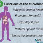 Microbiome-Functions